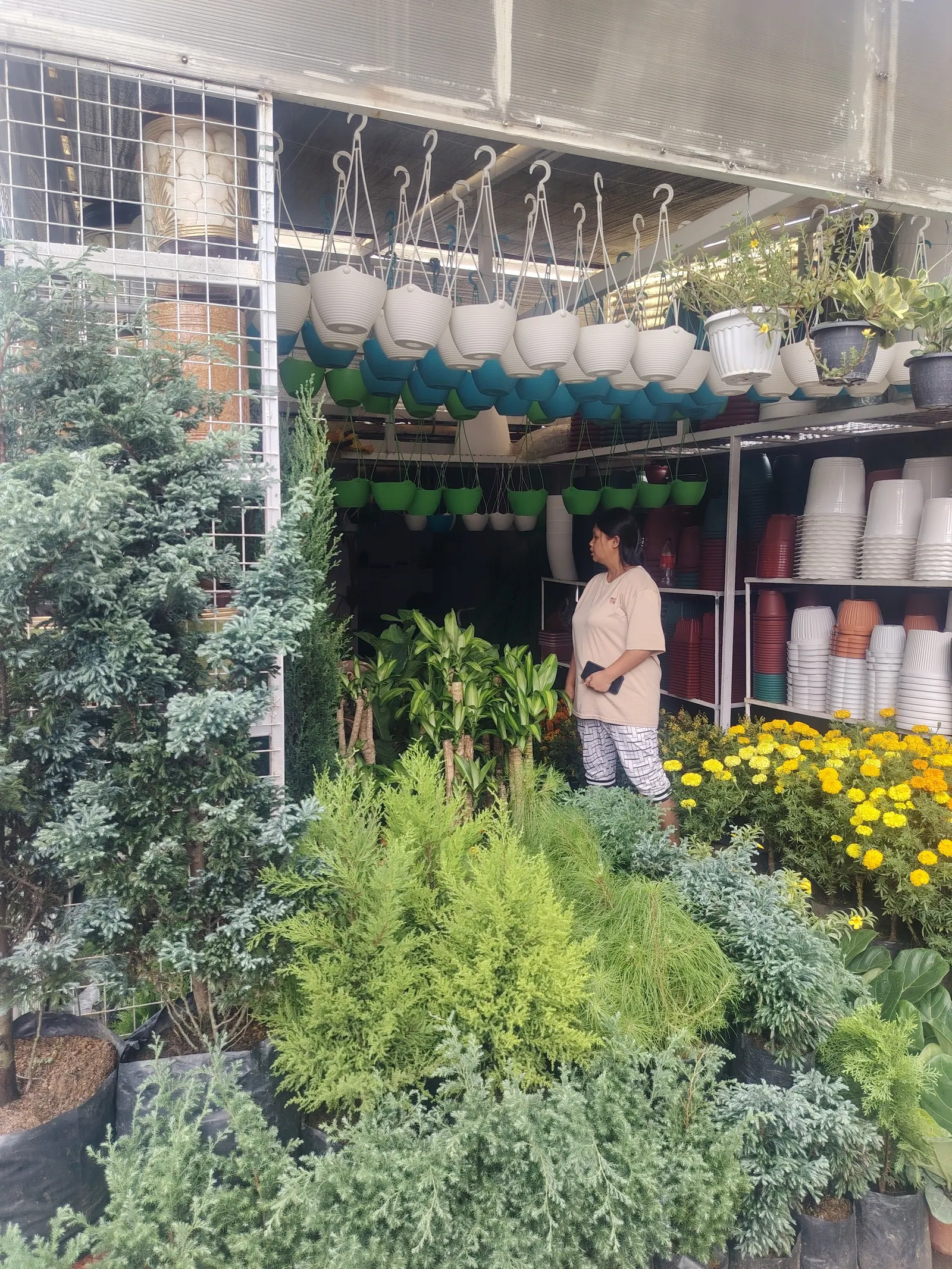 Plants and garden supplies laid out at an Urban Goes Green branch