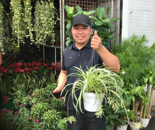 Ka Urban smiling and holding a spider plant at an Urban Goes Green garden center