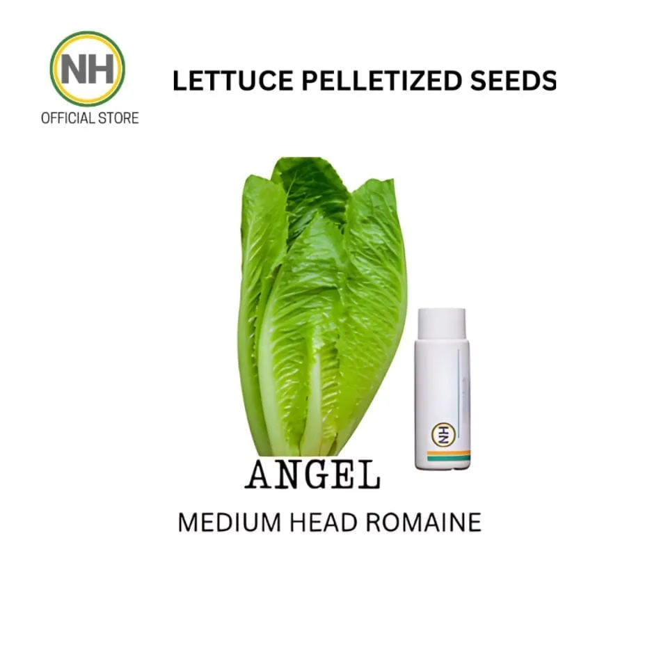 Angel from NutriHydro