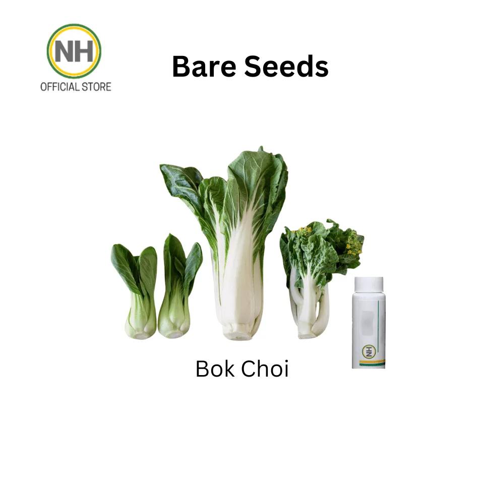 Bokchoi from NutriHydro