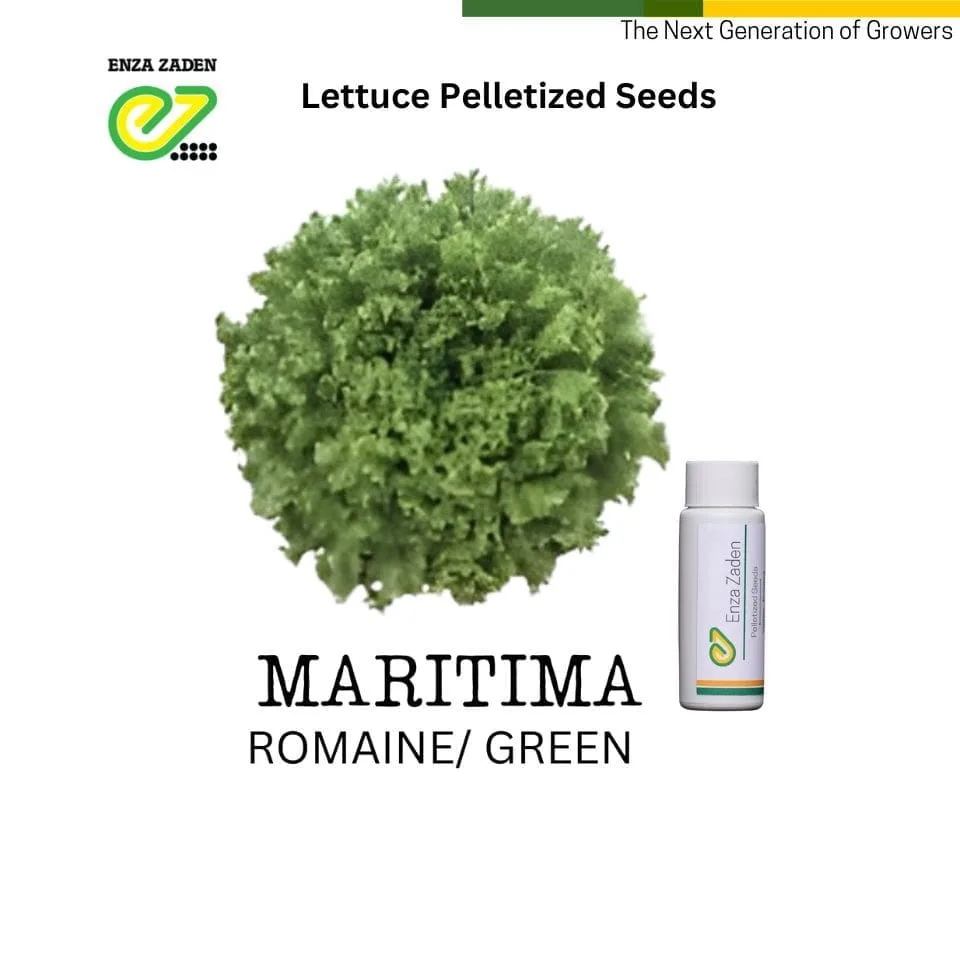 Maritima from NutriHydro