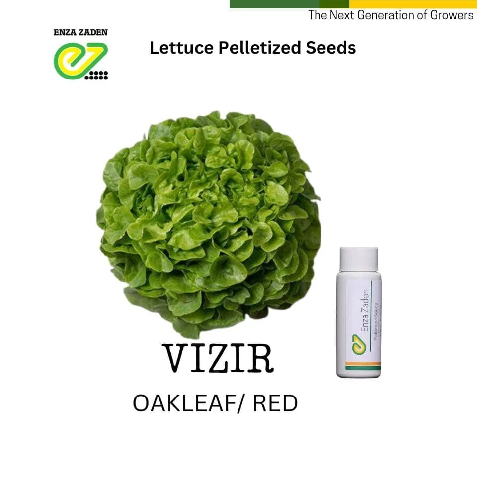 Vizir from NutriHydro